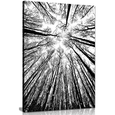 Image of Abstract Modern Art Home Black &amp; White Trees Canvas Wall Picture Print (24x16in)