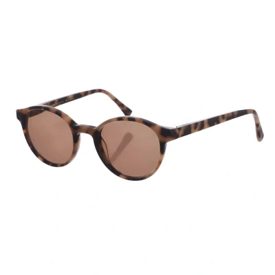 Image of Zen Unisex Pantos Shaped Acetate Sunglasses Z423 Multicolour One Size