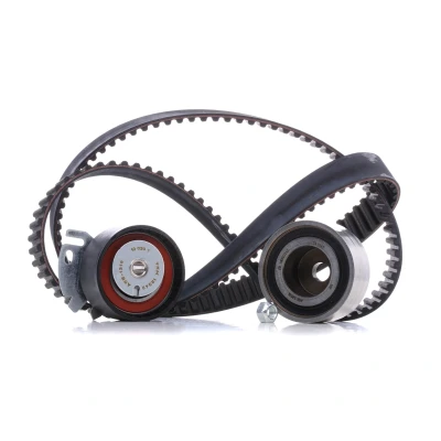 Image of 46554826 Timing belt kit SKF VKMA 02242 158 with rounded tooth profile FIAT: Marea Saloon, Brava Hatchback, Doblo I Estate