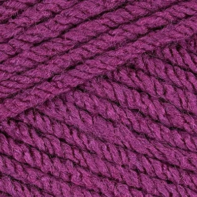 Image of Stylecraft Special Chunky Knitting Yarn Plum 1061 per 100gram ball