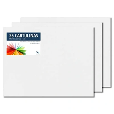 Image of RAYLU Paper Coloured 50 x 65 cm, Pack of 25 Cardboard 180g/m², 210 297 mm, Professional Boxes for Office, Copy Paper, Colourful Crafts (White)