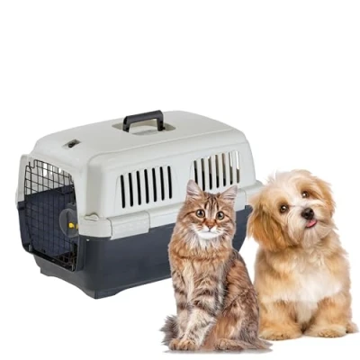 Image of Ferplast Cat Carrier CLIPPER 2, Dog Carrier, IATA Approved Travel Crate, Pet for Small Dogs and Cats max 8 Kg, Car Travel, Airline, Train, 57 x 37 h 36 cm, Steel Door, Secure Closure