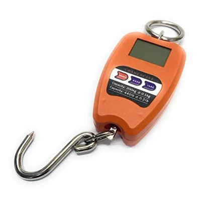 Image of TEMPO DI SALDI Professional Digital Industrial Scales Hook Spring Dynamometer Max 200 kg, Various