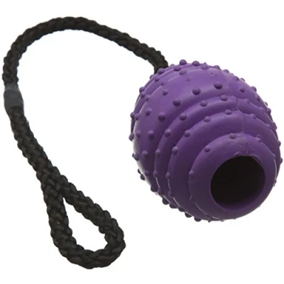 Image of Classic Pet Products Rubber Oval Ball on a Rope, Large, 100 mm, Purple/Black