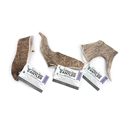 Image of Highland Fallow Deer Antlers For Dogs Medium Pack of 3 Antler Chew