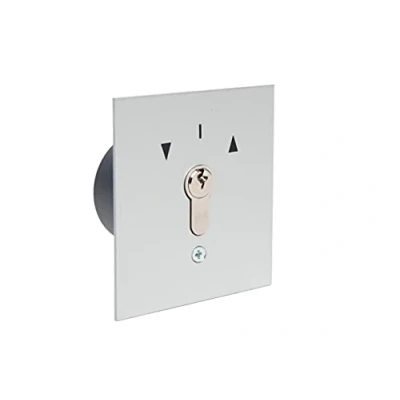 Image of geba Garage Door Key Button Flush mounted 2 sided Push US 1 2T/1 121.1301.1A, incl. DIN profile half cylinder and 3 keys, burglary resistant (European patented system), grey/anodised aluminium