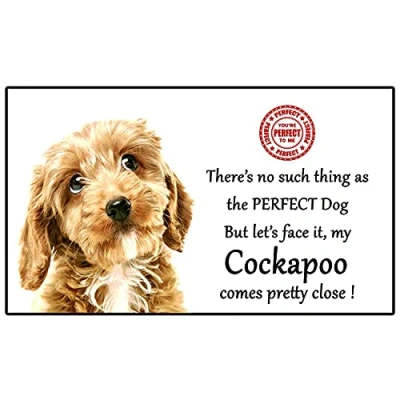Image of Cockapoo Dog Gift Perfect Fun novelty Flexible 5&quot; x 3&quot; Magnet