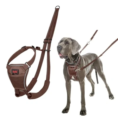 Image of HALTI No Pull Harness to Stop Your Dog Pulling on the Leash. Adjustable, Lightweight and Easy Use. Reflective Training for Large Dogs (Size L, Deep Walnut)
