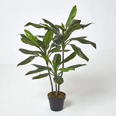 Image of HOMESCAPES Large Artificial Cordyline Fruticosa Tree 100 cm Tall with Wood Effect Trunk Replica Hawaiian Ti Plant in Black Pot Faux Moss Indoor Realistic for Home or Office Decoration