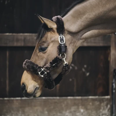Image of Kentucky Sheepskin Shipping Halter