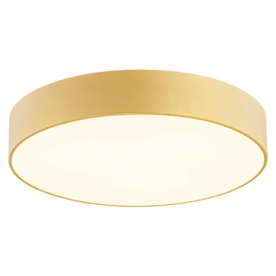 Image of Darling 25cm Flush Ceiling 2 Light Gold Structure