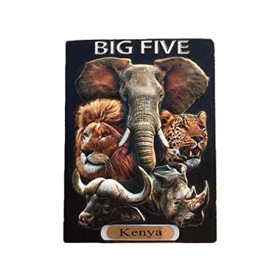 Image of Kenya 3D Big Five Animals Refrigerator Magnet Souvenirs Handmade Resin Magnetic Stickers Home Kitchen Decoration,Kenya Fridge Collection Gift