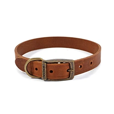 Image of ANCOL Latigo Flexible Stretchy Chestnut Collar Animal Pet Training Accessory 39 48 cm, Size 5