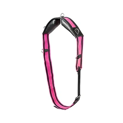 Image of PFIFF 004218 with Fringe Ceiling/Lunging Roller Leather Cushion Small Black/Pink