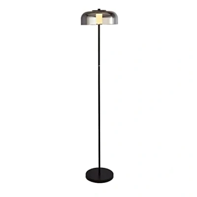 Image of 1 Light Led Floor Lamp, Matt Black With Smoked Glass