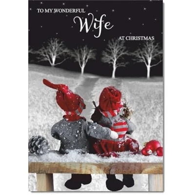 Image of doodlecards Wife Christmas Card Couple at Night Large A4 Size for with Plain Envelope