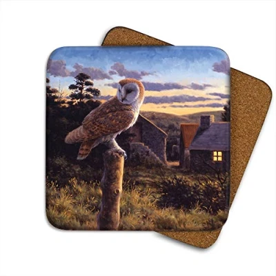 Image of Barn Owl at Dusk Drinks Coaster by Wildlife Artist Julian Friers Individual Bird Non Slip, Cork Backed Table