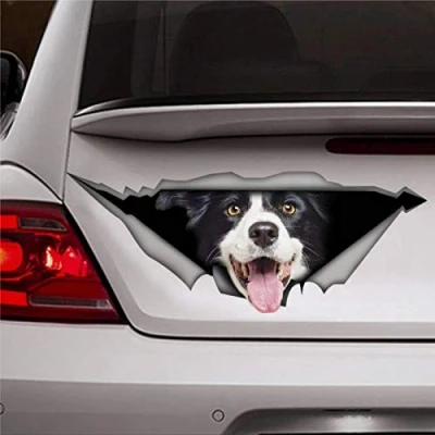 Image of Border Collie Sticker Pet Sticker, Dog Decal, Car Decal Stickers 3D Funny Window Vinyl Bumper Die Cut Decals Laptop Present