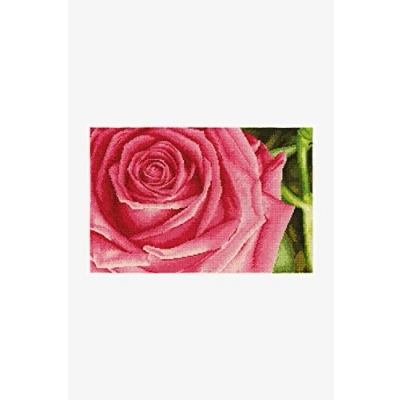 Image of DMC &quot;Pink Rose Cross Stitch Kit, 100 Percent Cotton, Multi Colour