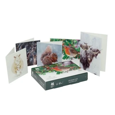 Image of Pack Of 20 National Trust Charity Christmas Cards Box Winter Wildlife Multipack Greeting With 5 Designs