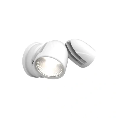 Image of Ansell Zeker IP65 CCT Security Light White