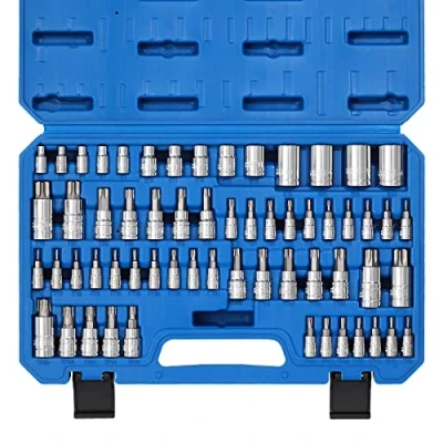 Image of CASOMAN Master Torx Bit Socket and External Set, 60 Piece S2 Cr V Steel，E4 E24, T6 T70,TT6 TT70,TP8 TP60