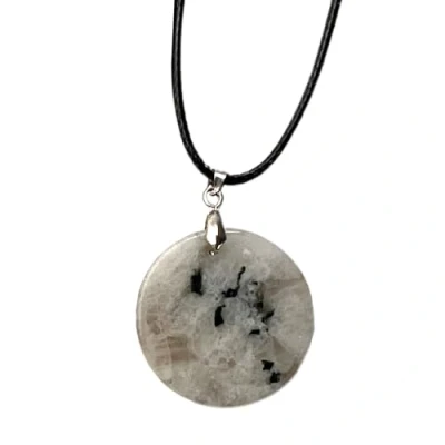 Image of VIE Coin Pendant, Black Cord (Rainbow Moonstone)