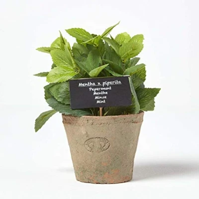 Image of HOMESCAPES Artificial Mint in Terracotta Pot Decorative Faux Herbs Potted Distressed Planter for Indoor Decoration, 16 cm Tall