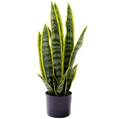 Image of Artificial Sansevieria Snake Plant / Mother in laws Tongue 57cm Tall
