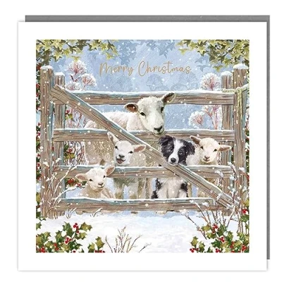 Image of Tracks Publishing Charity Christmas Cards Sheep, Lambs and Dog at Snowy Farm Gate with Foil Finish Eco Friendly Pack of 5