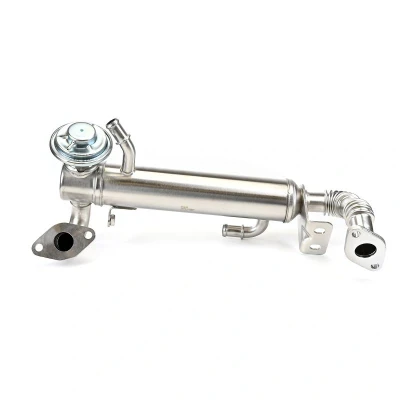 Image of 504178568 EGR valve DELPHI EG10582 12B1 with cooler IVECO: DAILY 4