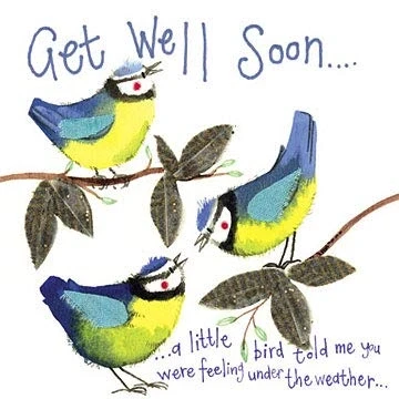 Image of Alex Clark Under the Weather Get Well Soon Bird Card Blue Tit Nature Animal Sympathy Designed and Printed in UK…