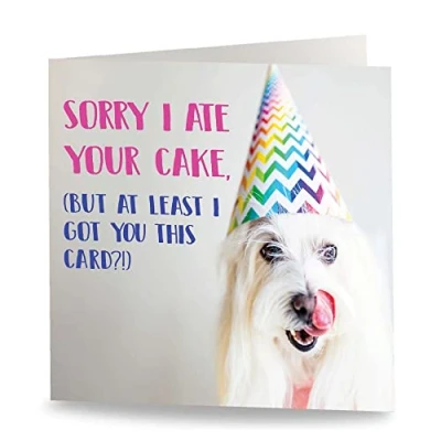 Image of Maturi &#039;Sorry I Ate Your Cake&#039; Funny Humorous Birthday Greetings Card Blank Inside, 15.5 x cm