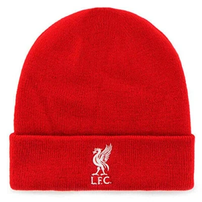 Image of Official Liverpool Football Crest Premier League Bronx Hat (100% Acrylic)