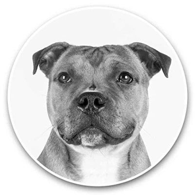 Image of Awesome Vinyl Stickers (Set of 2) 30cm BW Staffordshire Bull Terrier Dog Fun Decals for Laptops,Tablets,Luggage,Scrap Booking,Fridges #35489