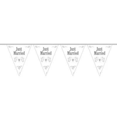 Image of Bunting Just Married 10 metres long, 15 Triangle Flags