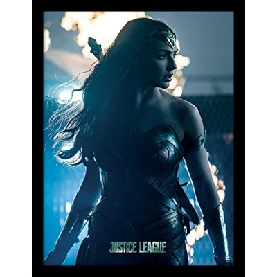Image of DC Comics Memorabilia, Multi Colour, 30 x 40 cm