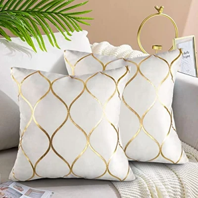 Image of Hanrunsi Velvet Cushion Covers 18x18 Decorative Sofa Cushions 2 Pack Soft Pillowcases Golden Painted Throw Pillow Cases White for Couch Living Room