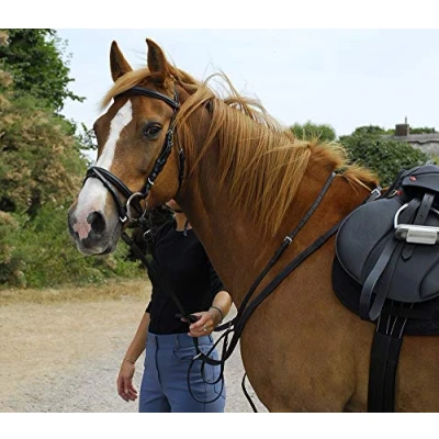 Image of Windsor Leather Bridle With Flash Noseband Size Pony, Havana Brown