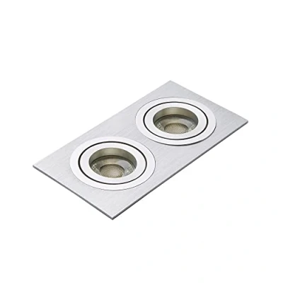 Image of LITECRAFT Evra Recessed Downlight Rectangular Tiltable Double Spotlight Silver