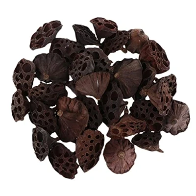 Image of Floralcraft 20Pcs Dried Lotus Heads, Medium Size (6 8cm) Natural, Flowers for Craft Projects, Christmas Wreath, Garland, Florist Decoration