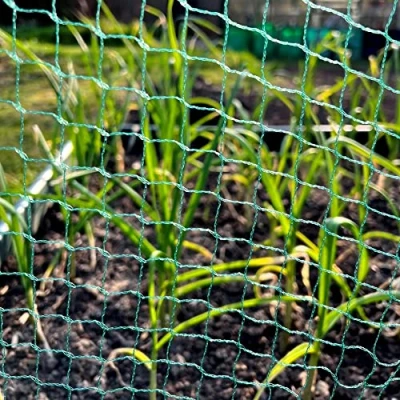 Image of Bird Netting Garden Mesh for Strawberry Fruit Protection Raised Beds Vegetable Gardens 4m x 5m Lots of Sizes, Heavy Duty