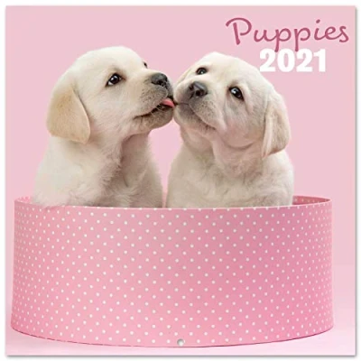 Image of Official Chantrenne Dog 2021 Wall Calendar 11.8 x inches (16 Months) Family Planner 2021,CP21014