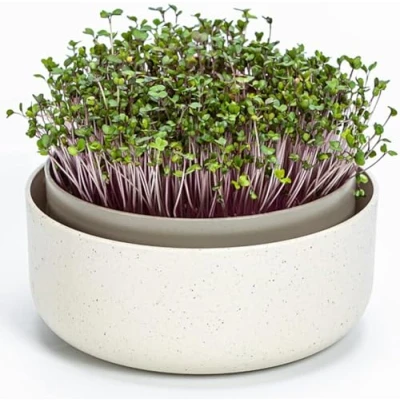 Image of Plastia Urbalive Large Germination Tray 16 cm Cress Propagation for Sprouts,Cress Seeds,Microgreens Design Sieve Made of Plastic Box Device with Coffee