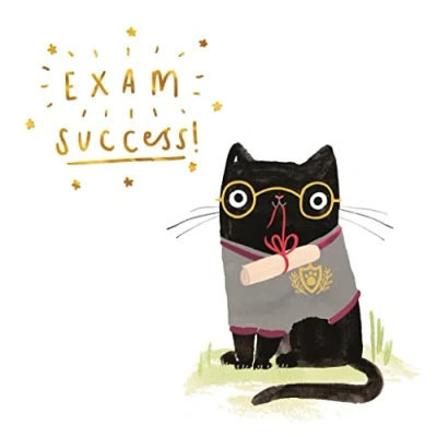 Image of Hallmark Exam Success Congratulations Card Cute Illustrated Cat Design
