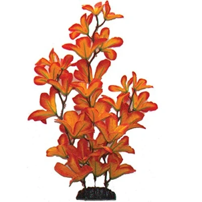 Image of Sunset Macrandra Silk Like Plant 20cm by KenKoi