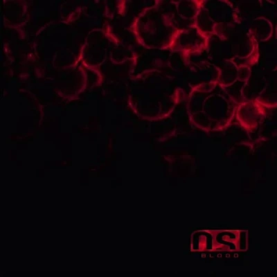 Image of Blood (Re Issue And Bonus)