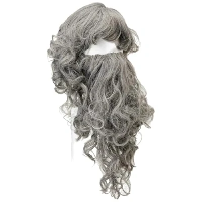 Image of Bristol Novelty Grey BW573B Wizard Wig for Adult Fancy Dress, Men (Bagged)