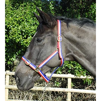 Image of Rhinegold Nylon Headcollar Shetland Red/White/Blue
