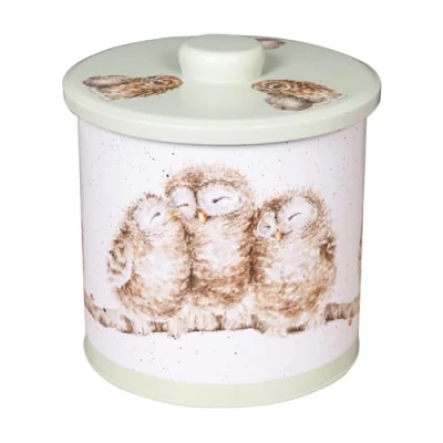 Image of Wrendale Designs &#039;The Country Set&#039; Owl Biscuit Barrel Green